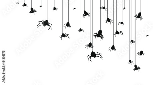 Spiders on Web with white Background. Halloween Background Design Element. Spooky, Scary Horror Decoration Vector