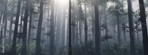 Forest in the fog in the morning at sunrise, trees in the rays, park in the haze, 3D rendering