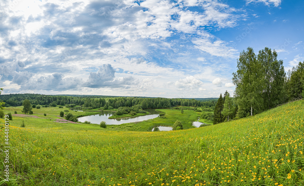 Summer panoramic landscape with wildflowers and trees on a wide meadow, a winding river and a forest in the distance, clouds in the blue sky.