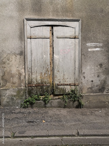 In an alley, in the heart of the city, close-up on a gray shutter, worn and closed, colonized by a wild plant, surrounded by a gray wall