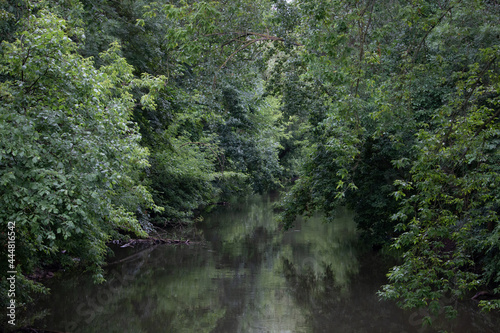 Fluss mit Wald 
