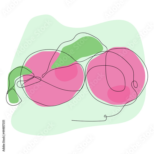 Modern vector illustration of two pink peaches on a green abstract background, drawn with one continuous line. The drawing is suitable for advertising food products, printing on clothing.