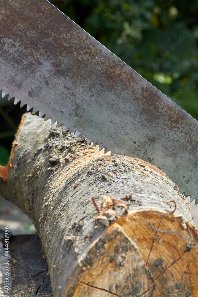 Vertical shot old rusty saw cutting tree log. Vertical shot old rusty saw cutting tree log.