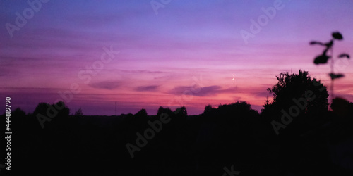 The view on the moon and the sunset in the sky with the tops of the trees.