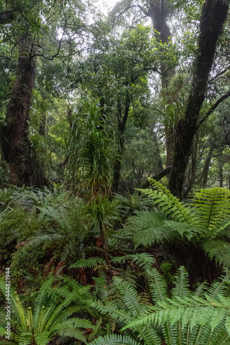 Hiking the Ngamoko track in Waikaremoana, New Zealand