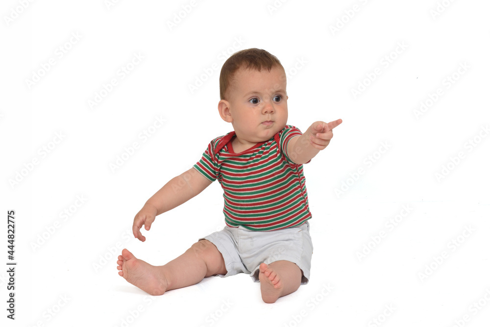 10 month old baby sitting on the floor and pointing on white background 10 month old baby sitting on the floor and pointing on white background