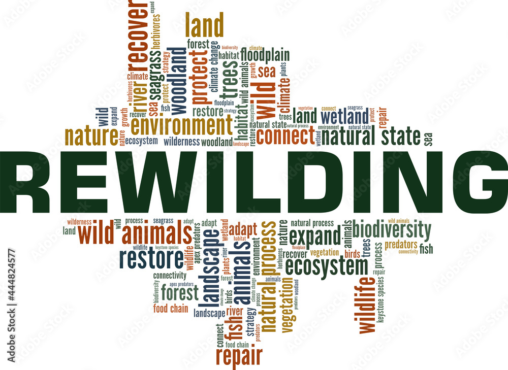 Rewilding vector illustration word cloud isolated on a white background. Rewilding vector illustration word cloud isolated on a white background.