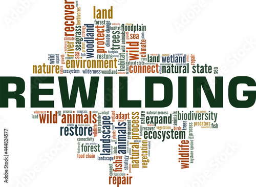 Rewilding vector illustration word cloud isolated on a white background. photo