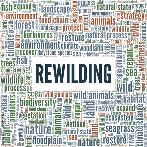 Rewilding vector illustration word cloud isolated on a white background.