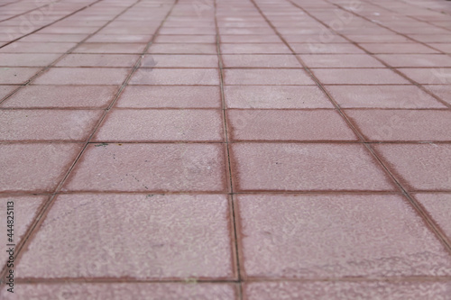 Cement plates on a pedestrian path