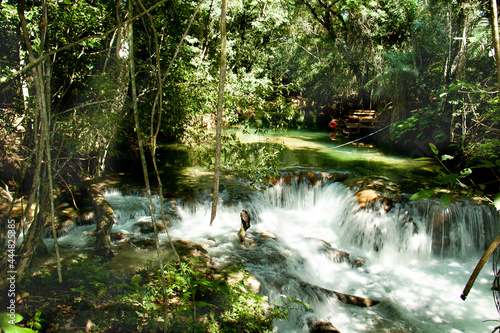 Pantanal - MS -Brasil