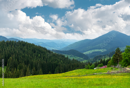 Summer vacation in mountains, green hills and meadows