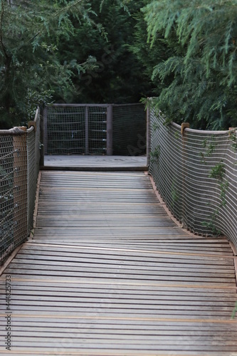 Fototapeta Naklejka Na Ścianę i Meble -  wooden bridge in the forest
