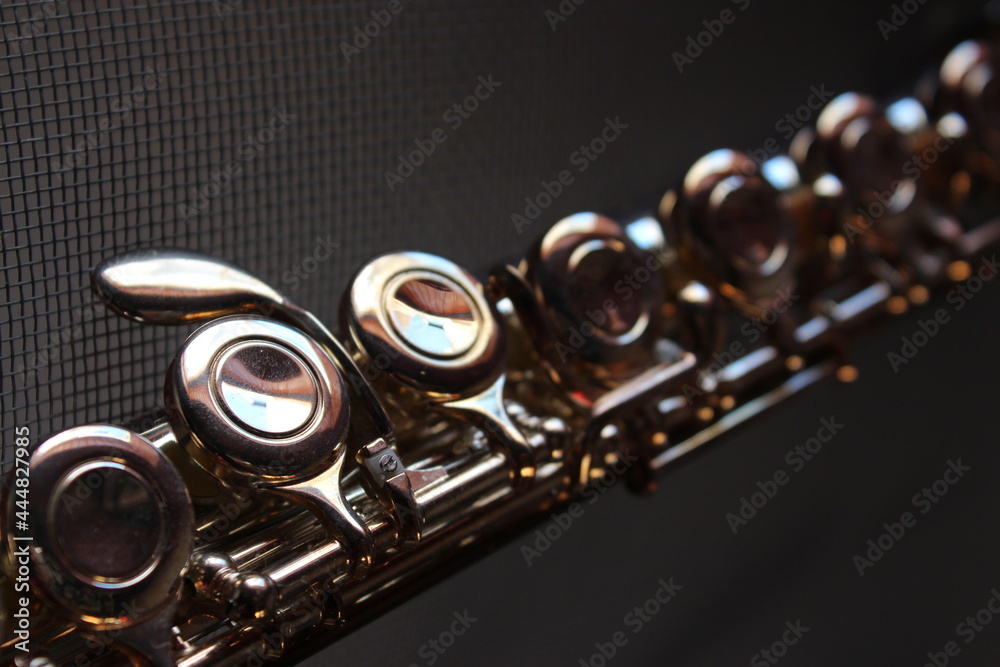 Obraz premium close up of a flute