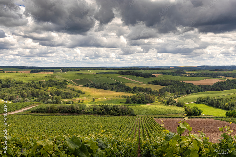 Situé dans l'Aube, les vignobles Champenois sur le plateau de Blu.
