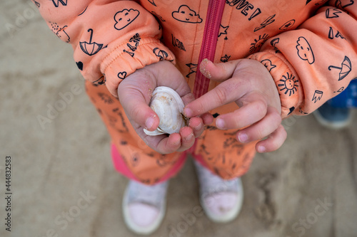 Little girl shows the seashell she found