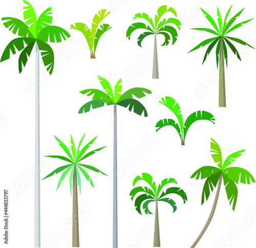 vector palm trees set