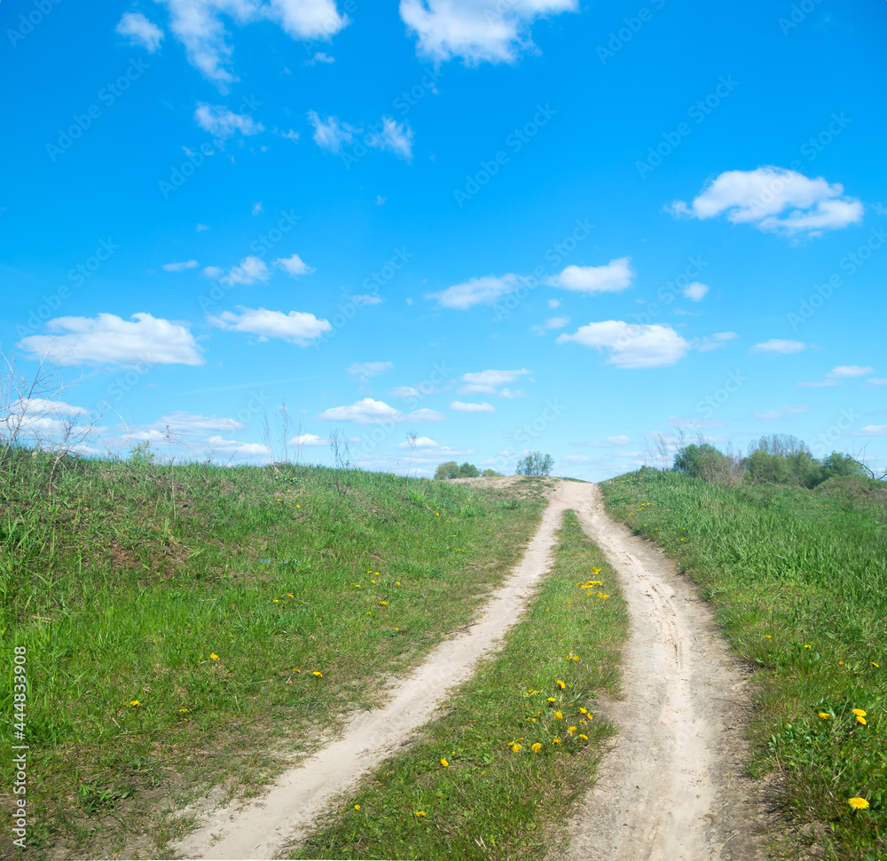 the road that runs through the summer meadow