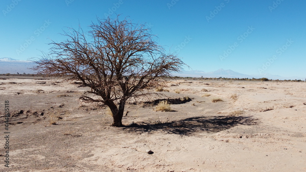 Vuelo de dron en el Desierto de Atacama. Chile Vuelo de dron en el Desierto de Atacama. Chile