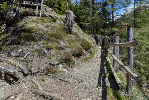 Weg, Wanderweg, Ködnitztal, Ködnitzbach, Kals, Großglockner, Hängebrücke, Stufe, Treppe, Zaun, Osttirol, Nationalpark, Hohe Tauern, Treppe, Holz, Holzzaun, Lattenzaun, steil, Baum, Baumstumpf, Markier photo