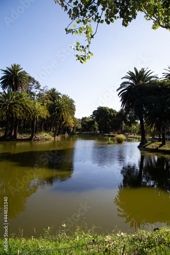 View of the lake from Parque Rod    Park Rodo . Montevideo  Uruguay