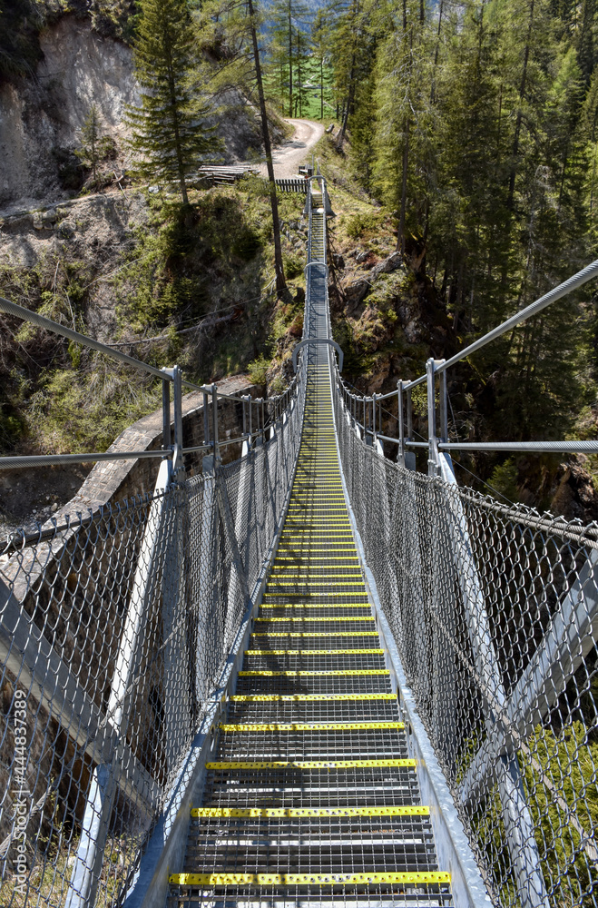 Brücke, Hängebrücke, Kals, Großglockner, Osttirol, Weg, Wald