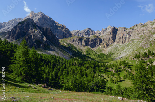 Mountain range and forest on the path to colle delle muine (pass of muine) in maira valley, beautiful landscape in the maritime alps of Piedmont, Italy