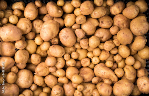 Carton filled with potatoes of various sizes. 