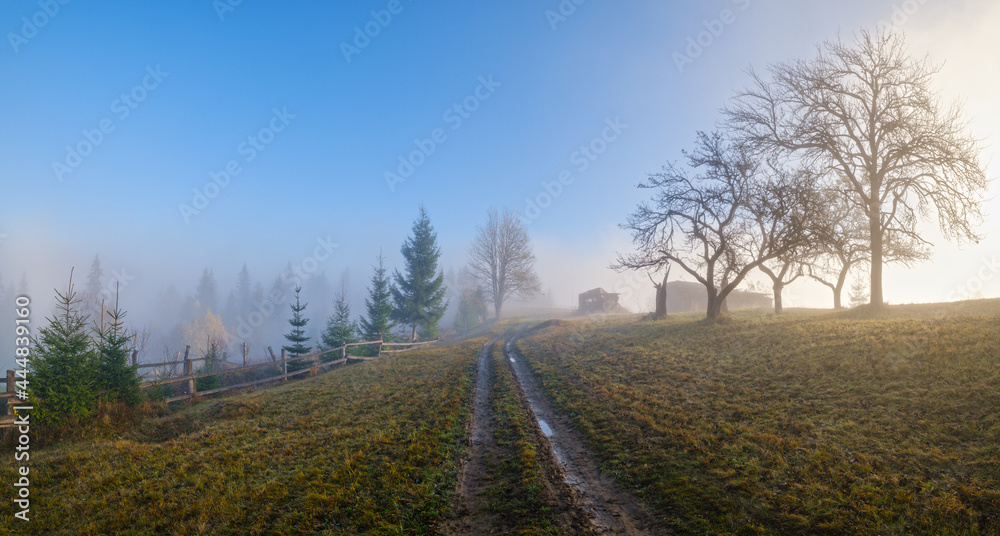 Fototapeta premium Foggy autumn mountain sunrise scene. Peaceful picturesque traveling, seasonal, nature and countryside beauty concept scene.