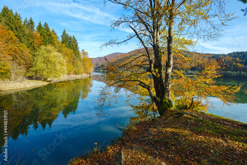 Forest meadow on shore of picturesque lake. Vilshany water reservoir on the Tereblya river  Transcarpathia  Ukraine. Beautiful autumn day in Carpathian Mountains.