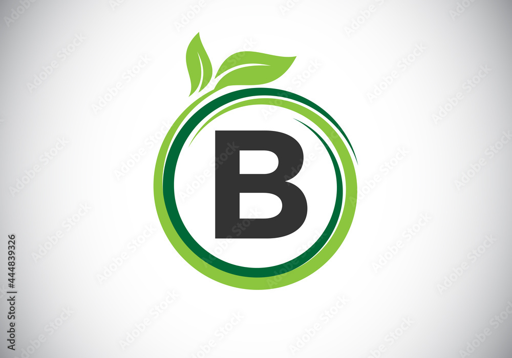 Initial B monogram letter alphabet in a spiral with green leaves. Font emblem. Nature icon sign symbol. Modern vector logo design for business healthcare, nature, farm, and company identity. Initial B monogram letter alphabet in a spiral with green leaves. Font emblem. Nature icon sign symbol. Modern vector logo design for business healthcare, nature, farm, and company identity.