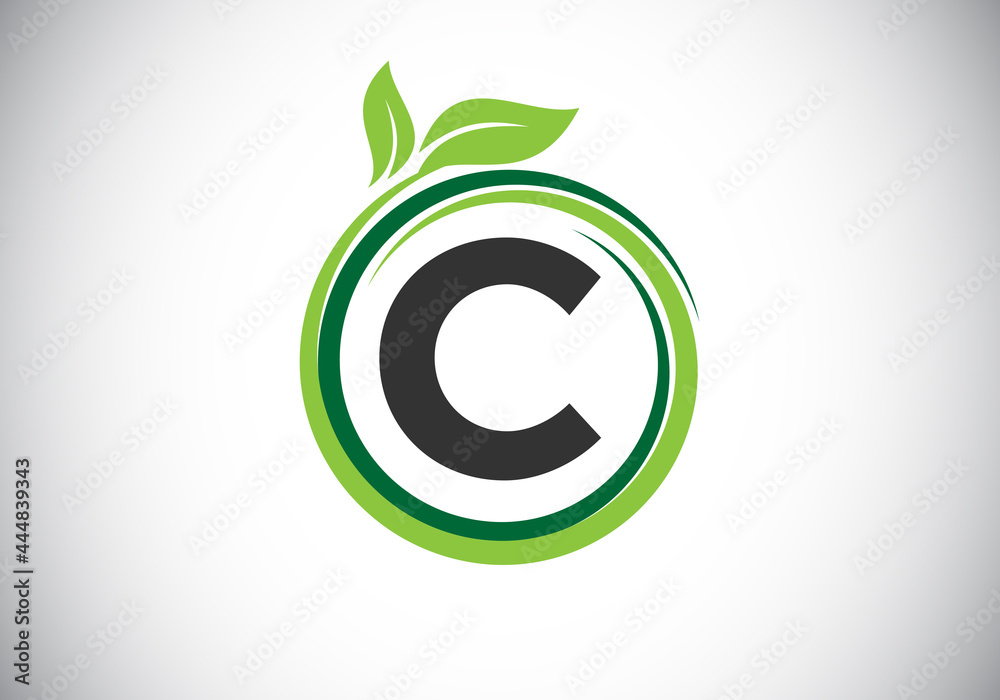 Initial C monogram letter alphabet in a spiral with green leaves. Font emblem. Nature icon sign symbol. Modern vector logo design for business healthcare, nature, farm, and company identity.