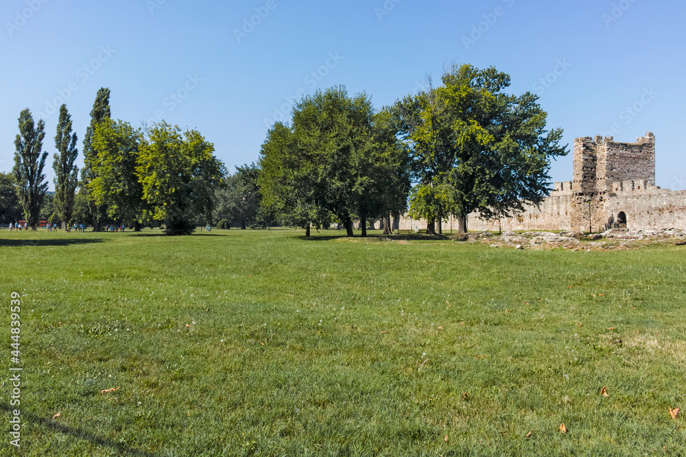 Obraz premium Ruins of Smederevo Fortress in town of Smederevo, Serbia