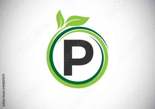Free Download Initial P monogram letter alphabet in a spiral with green leaves. Font emblem. Nature icon sign symbol. Modern vector logo design for business healthcare, nature, farm, and company identity. - GFXLoad