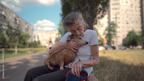 Animal theme is a lonely old woman best friend. Caucasian 90 years old senior female is happy to spend time with her pet small dachshund dog, holding her in her arms, hugging hugs and kisses outdoor photo