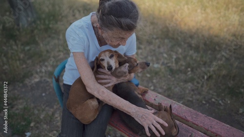 Happy senior woman holds a small dachshund dog in her arms, smiles hugs, presses and shows love to her pet on a bench in the park. Female 90 years old spends time with her best friend pet on street