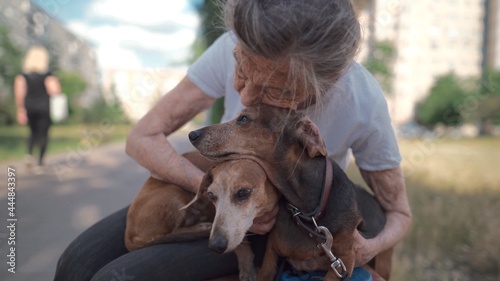 Senior 90-year-old woman with gray hair and deep wrinkles sits outdoors In assisted living facility on bench with small dachshund dog. Old female hugs and cuddles pet in the park on a bench photo