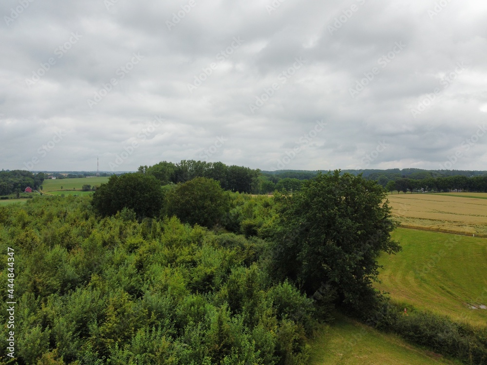 landscape with trees