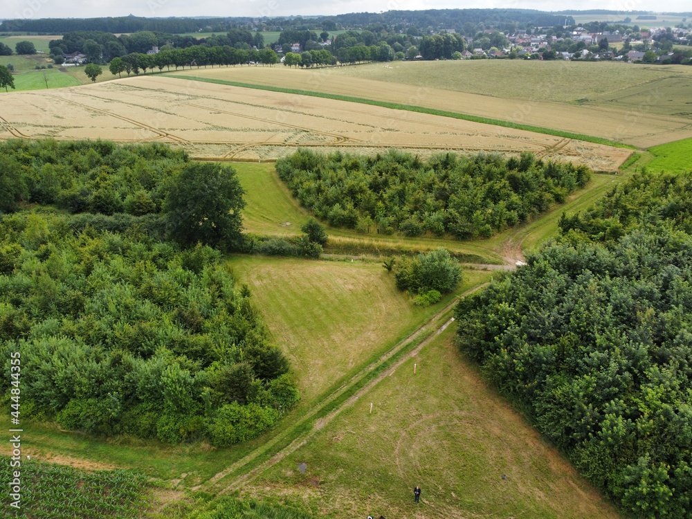 field in summer