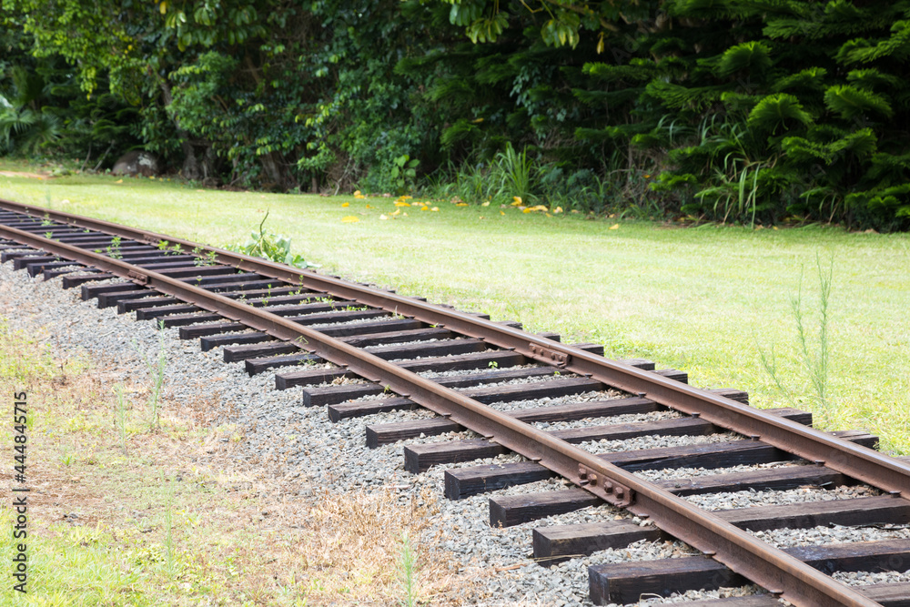 Fototapeta premium Rail road track in grass landscape 