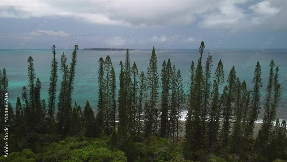 Aerial: columnar pine trees on Isle of Pines coast, New Caledonia, 4K view Aerial: columnar pine trees on Isle of Pines coast, New Caledonia, 4K view