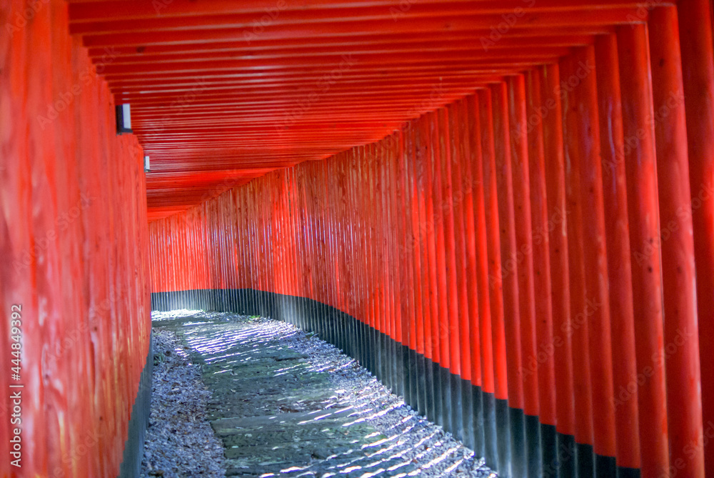 Fototapeta premium red wooden bridge
