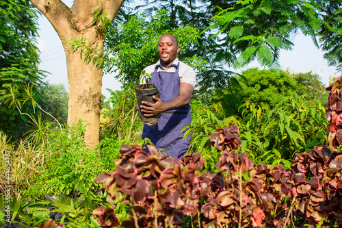 Fotografi Smiling African female gardener, florist or horticulturist wearing an apron and