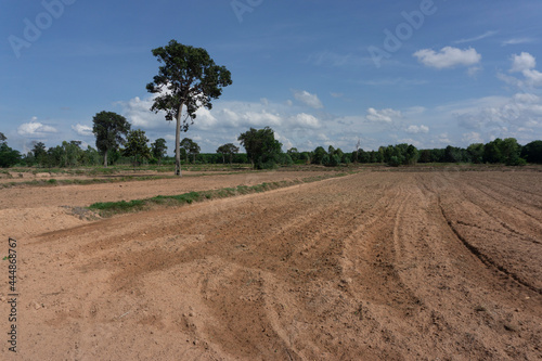 Newly ploughed rice field ready for seeding showing dryness of soil before start of rainy season photo