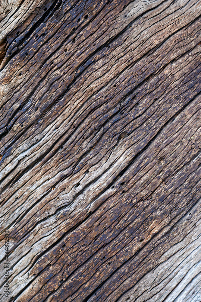 Old aged weathered cracked dark brown wood surface. Wooden texture. Old aged weathered cracked dark brown wood surface. Wooden texture.