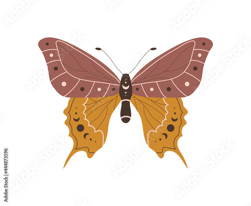 Boho butterfly. Insect with celestial elements. Witch and magic symbol. Abstract hand drawn moth. Vector illustration in bohemian style.