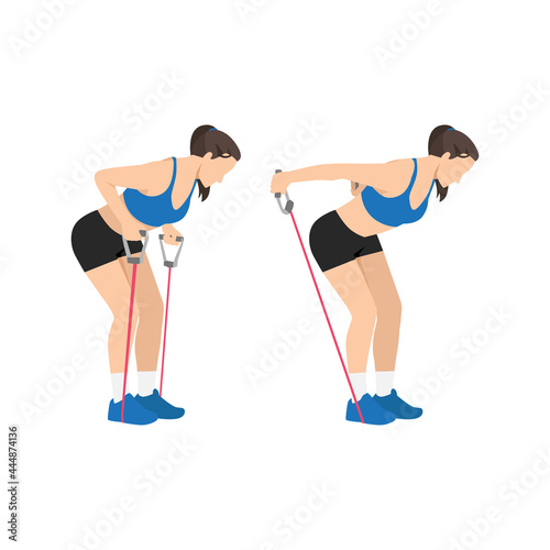 Woman doing Tricep kickbacks resistance band exercise. Flat vector illustration isolated on white background