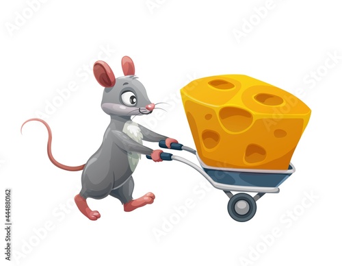 Cartoon mouse with cheese in wheelbarrow, vector animal character. Mouse carrying or stealing cheese piece and wheelbarrow, funny happy rat with food, kids cartoon illustration