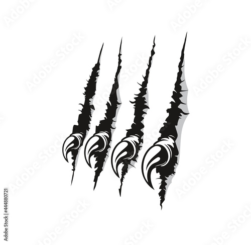 Bird of prey claw marks scratches vector background. Predator animal, dangerous wild beast or mysterious monster breaking through sheet of white paper, scratching and shredding wall with sharp claws