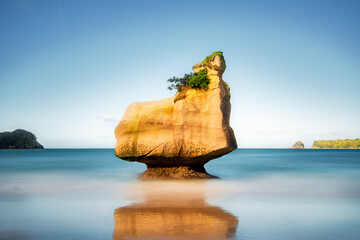 Poster Cathedral Cove Cathedral Cove rustige kustbaai  © Peter